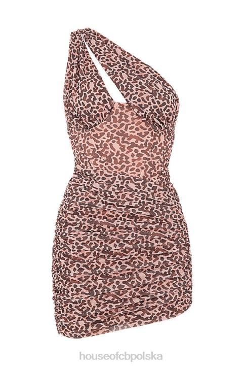 House of CB Sukienka Mini Clementine Zwierzęcy Wzór Pomarańczowa