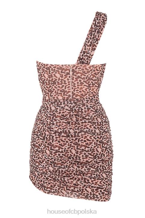 House of CB Sukienka Mini Clementine Zwierzęcy Wzór Pomarańczowa